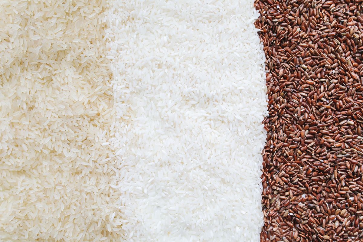 Variedades de arroz: blanco, integral y yamaní
